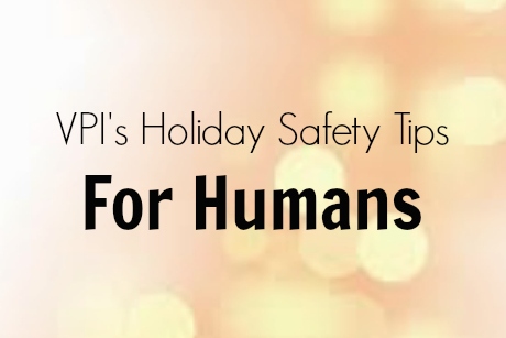Holiday-Safety-Tips-for-Humans-4