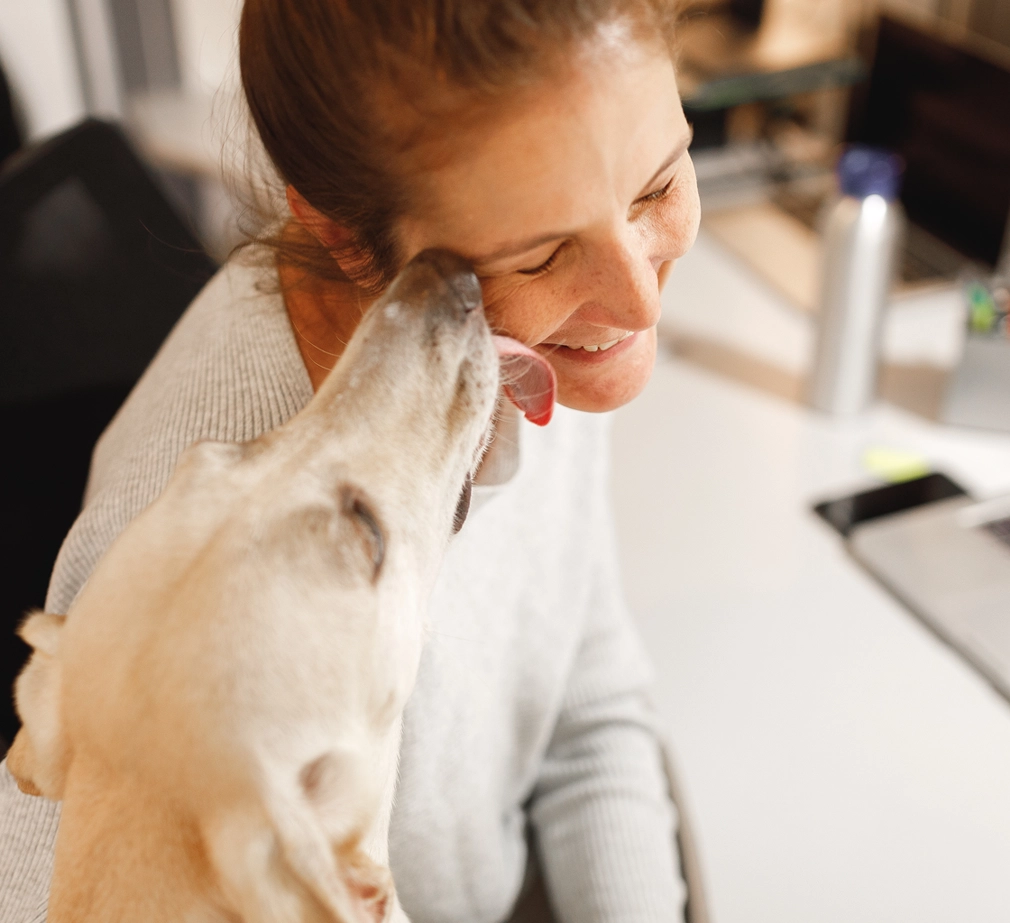 Dog licking pet parent