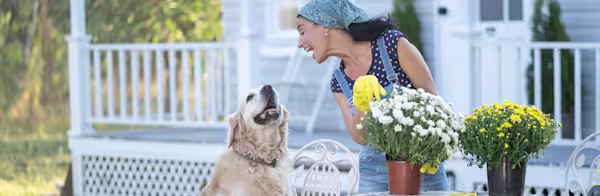 Planning pet-safe plantings