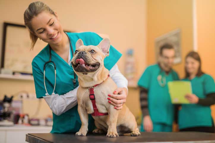 Pet Cancer Awareness