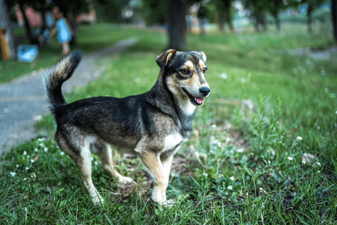 3-Fun fact-Mixed medium GettyImages-1268036904