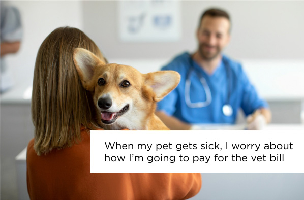 Woman holding corgi at vet