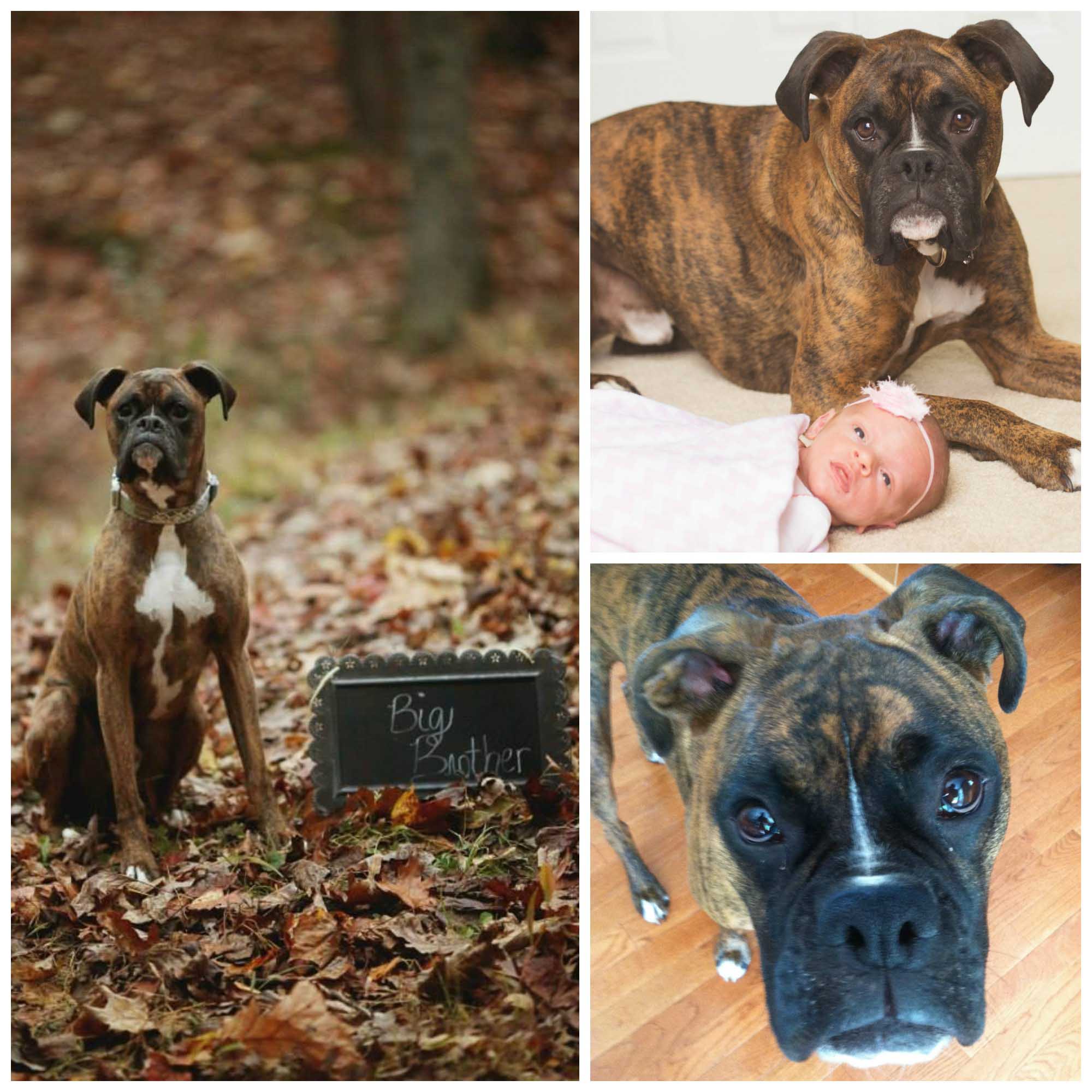 may-2015-nominee-collage-a