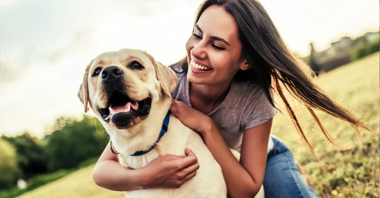 AnimalCancerFoundation