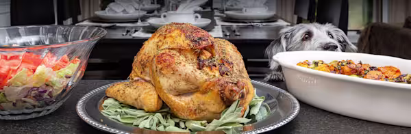 Turkey Day pet safety