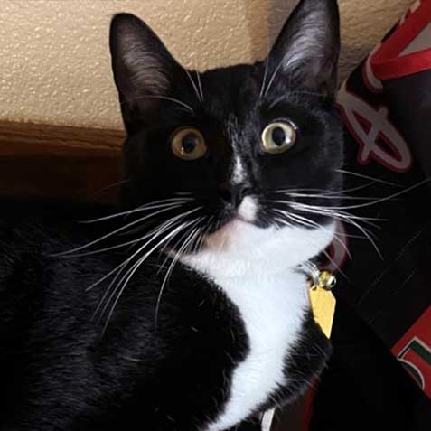 2023-WPN-homeboy-thumbs