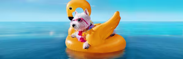 In hot water