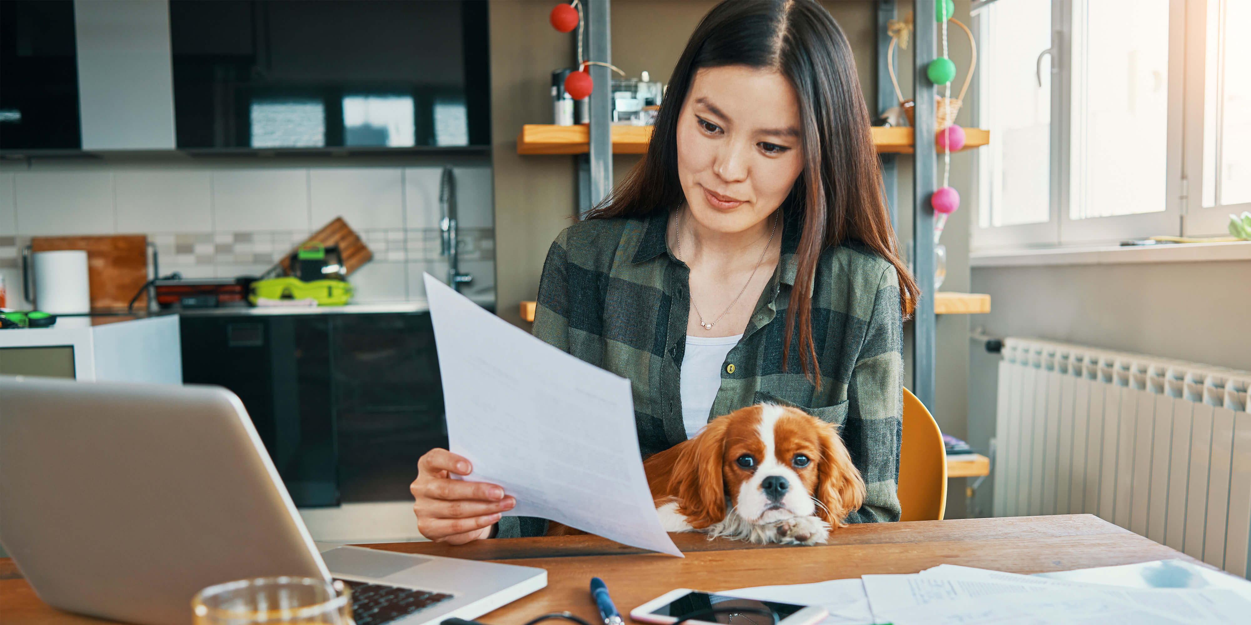 Understanding veterinary medical records