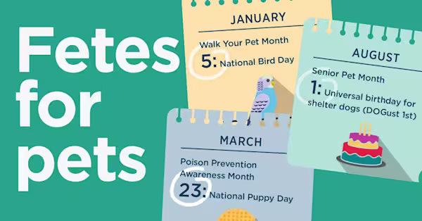 Treats January 2019