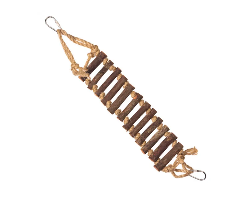 2024-12-06_21-19-54-1