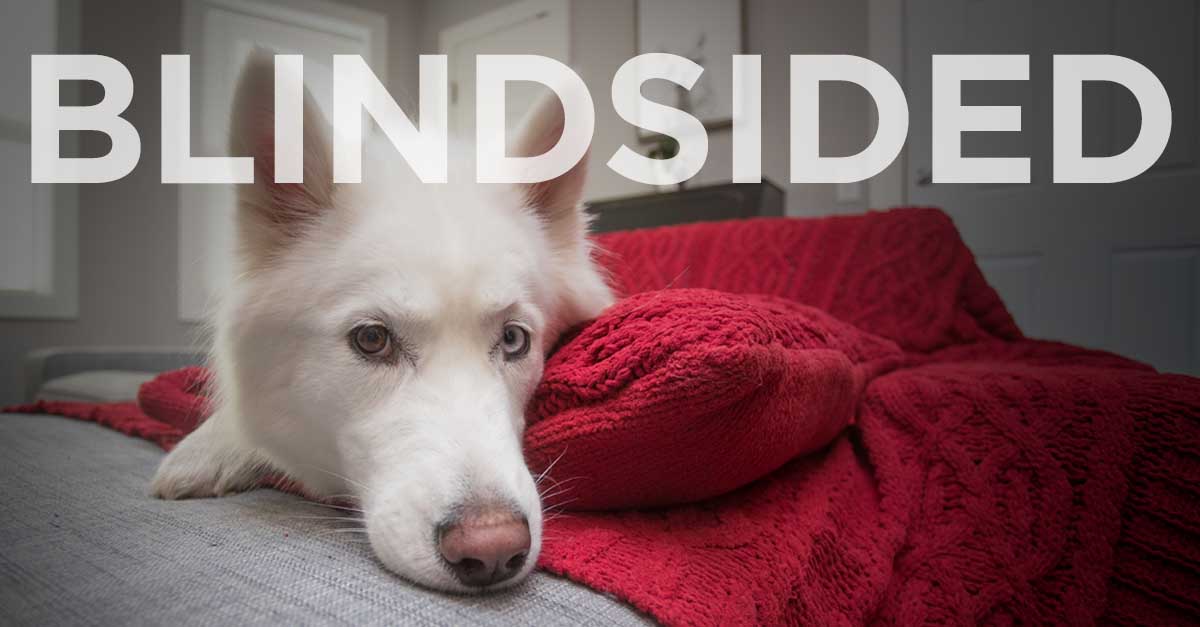 Real–Life March 2018