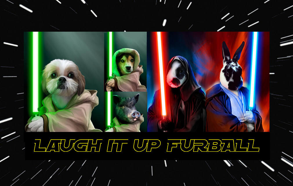 The first #LaughItUpFurball pet contest