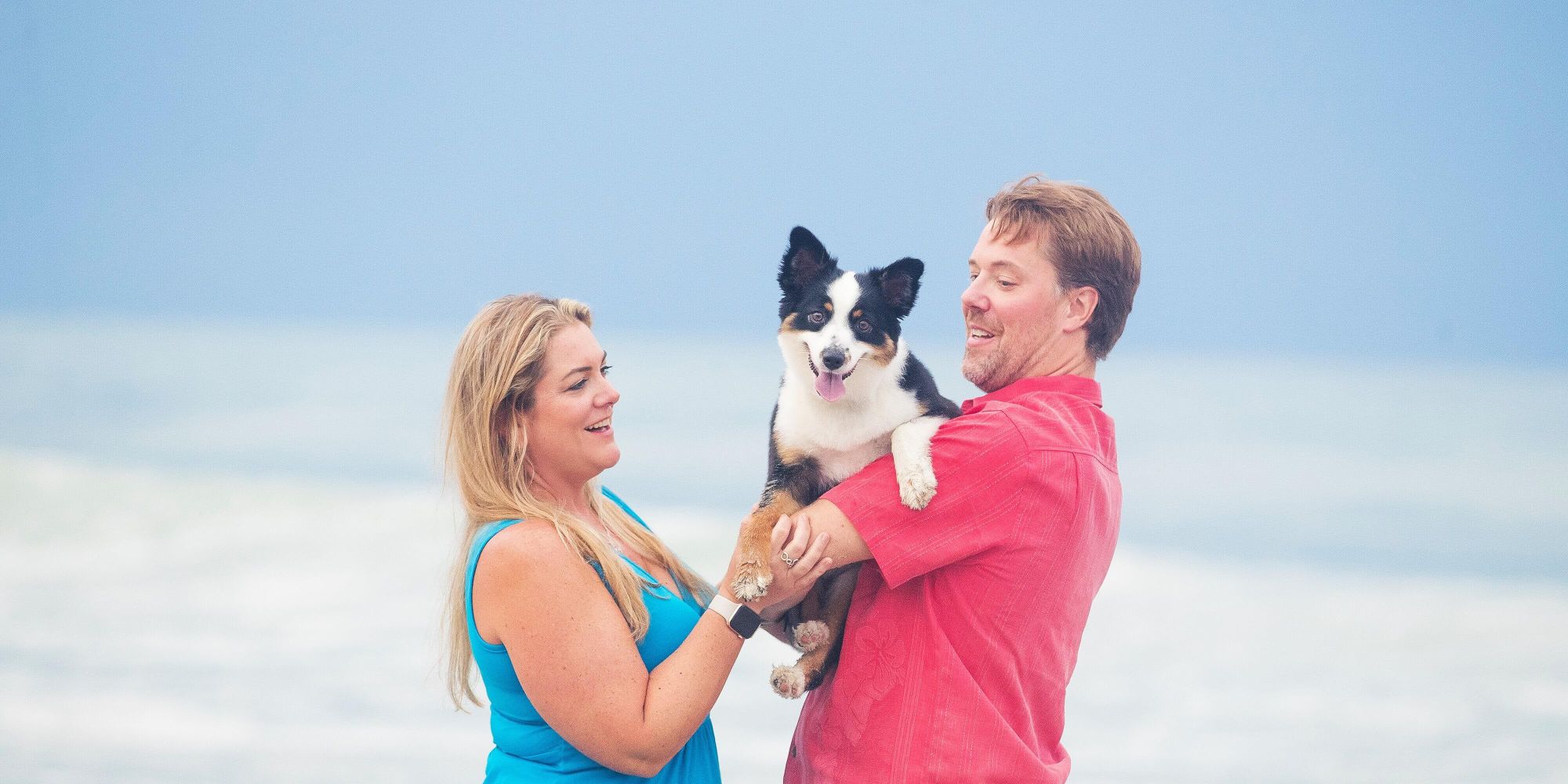 Aussie shepherd gets a stinging surfside surprise