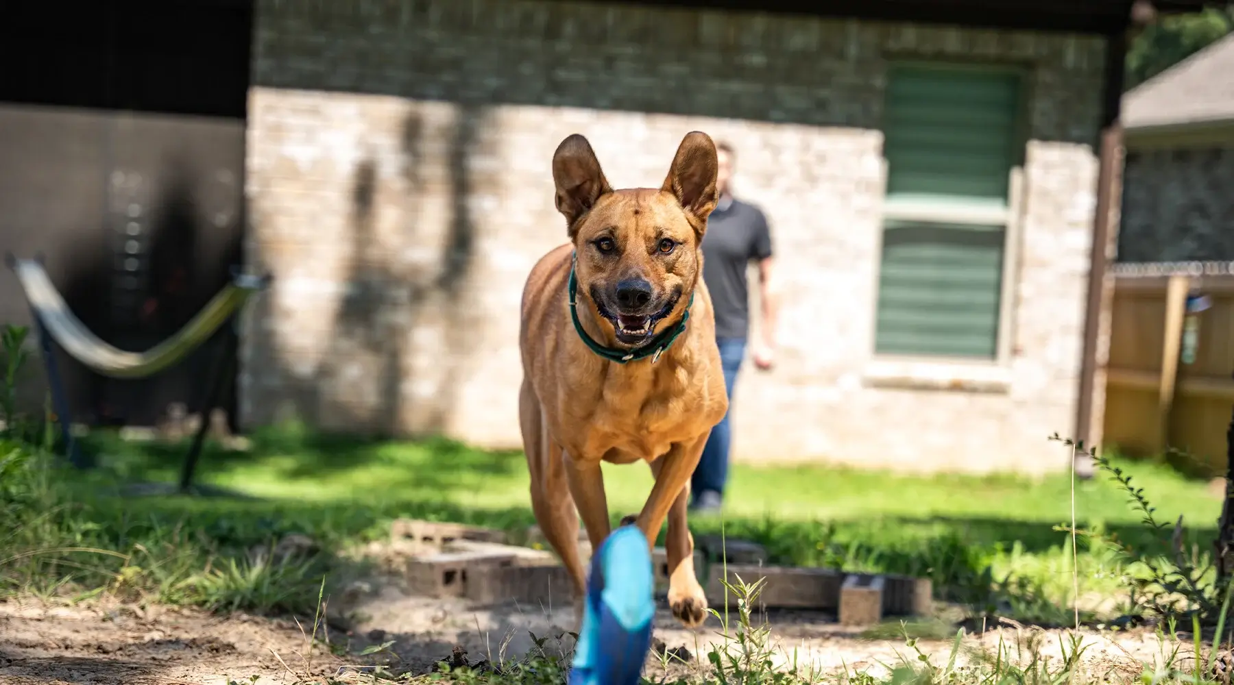 10391D 2025 Spring Companion Member Story Molly from Corporate 4