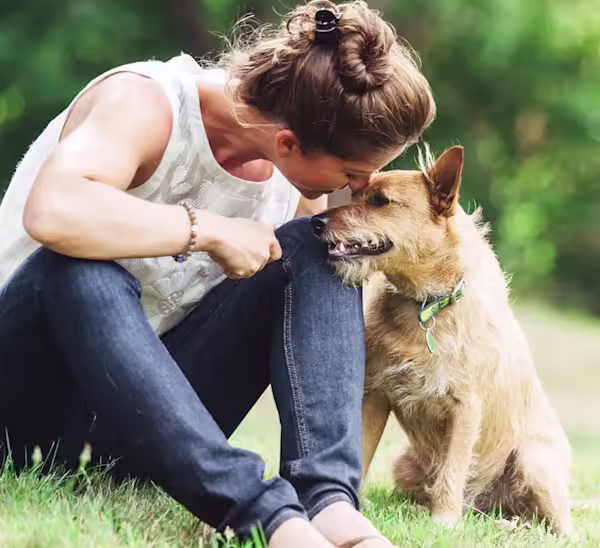 Dog snuggling with pet parent
