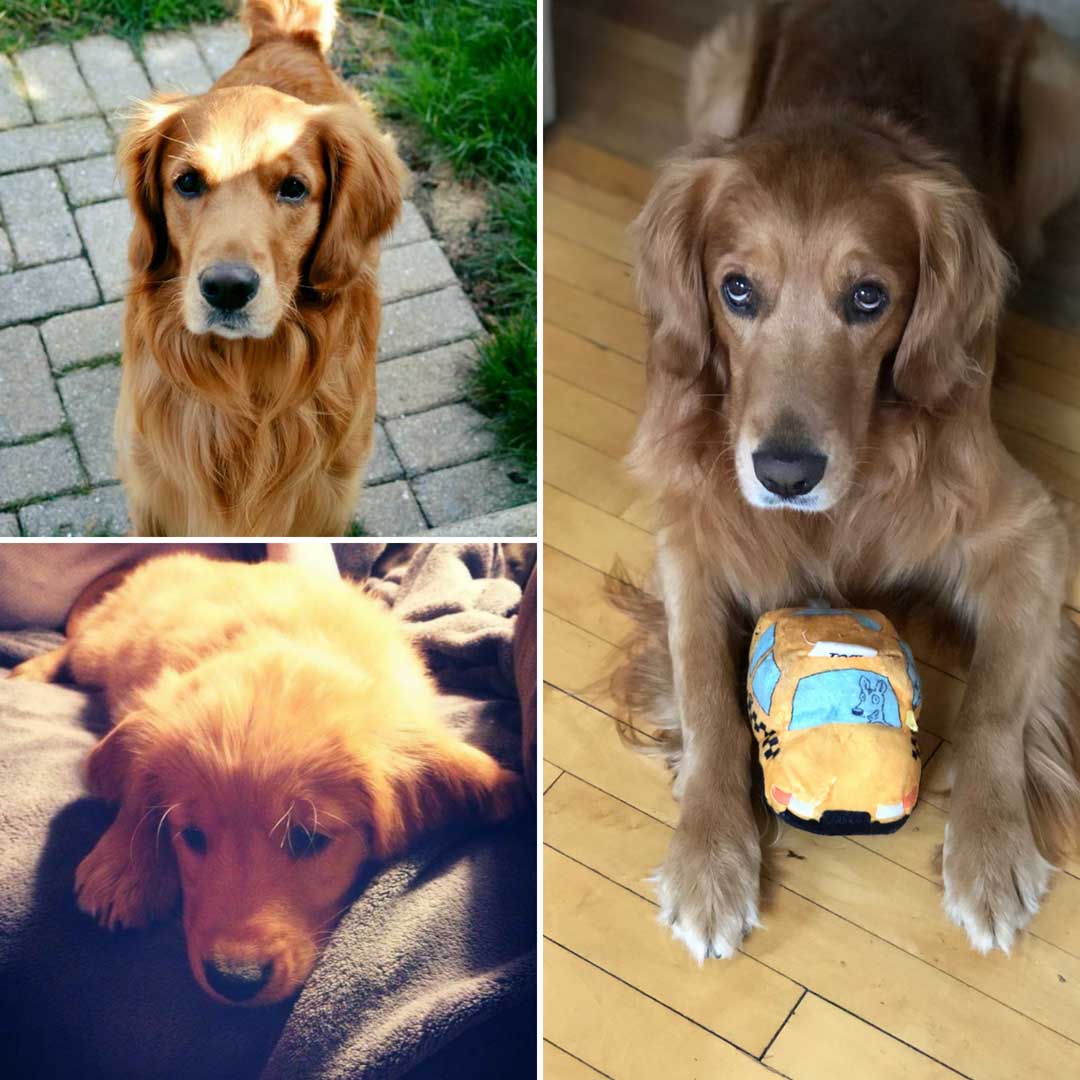 Collage1-8