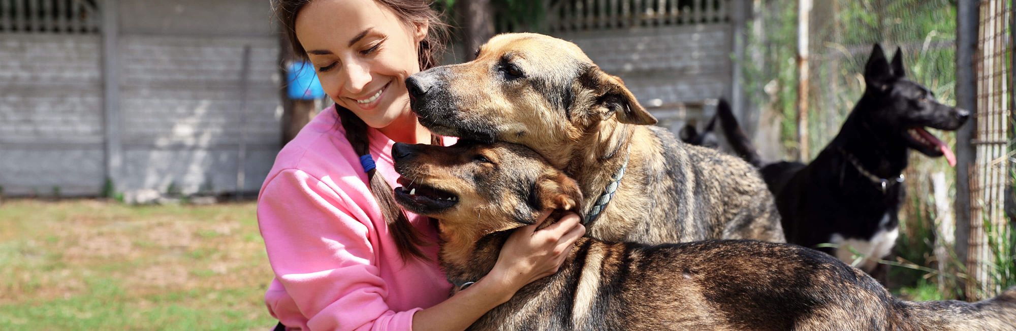 Give back with the help of these pet non-profit organizations