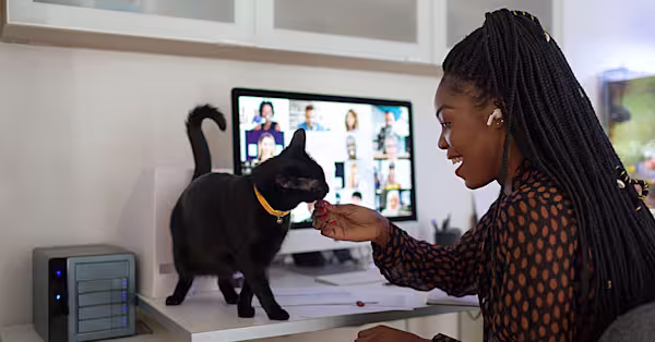 Preparing your pet for your return to office