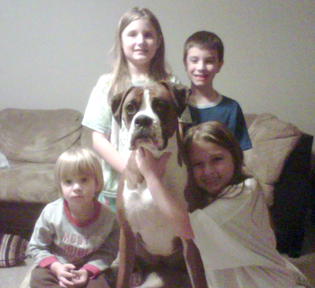 Boxer-Puppy-Eats-19-Baby-Pacifiers-3