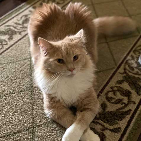 2023-WPN-sir-catrick-stewart