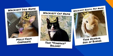 The wackiest pet names of 2024