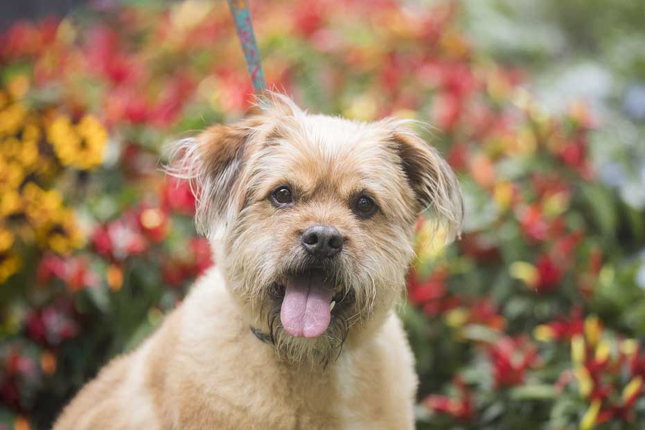 DianeLewisPhotography-64-1