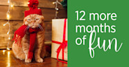 12 months of fun | Pet Insurance Benefits for Employees
