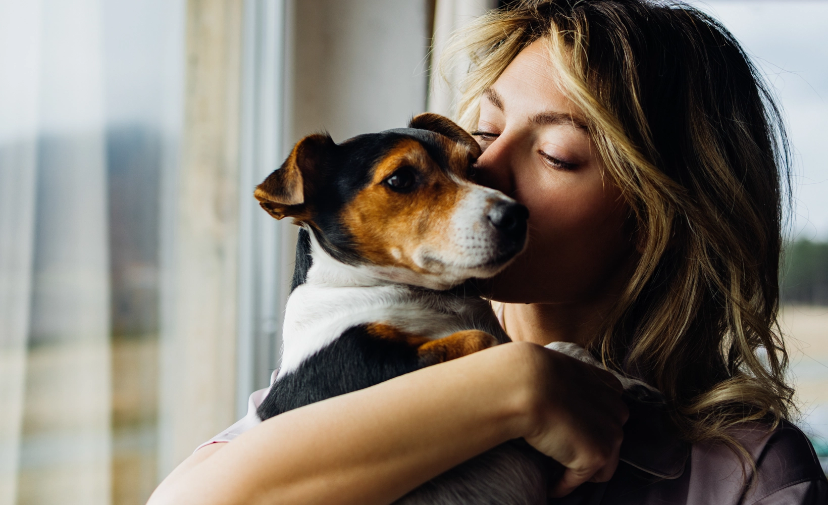 Dog snuggling with pet parent