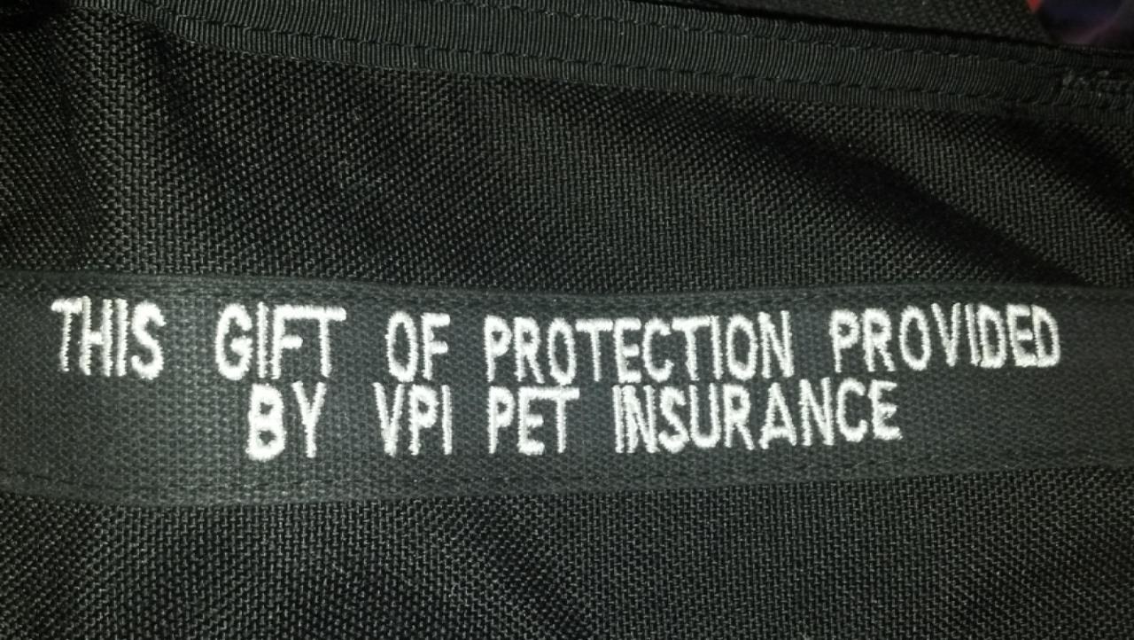 VPI-Protective-Vest