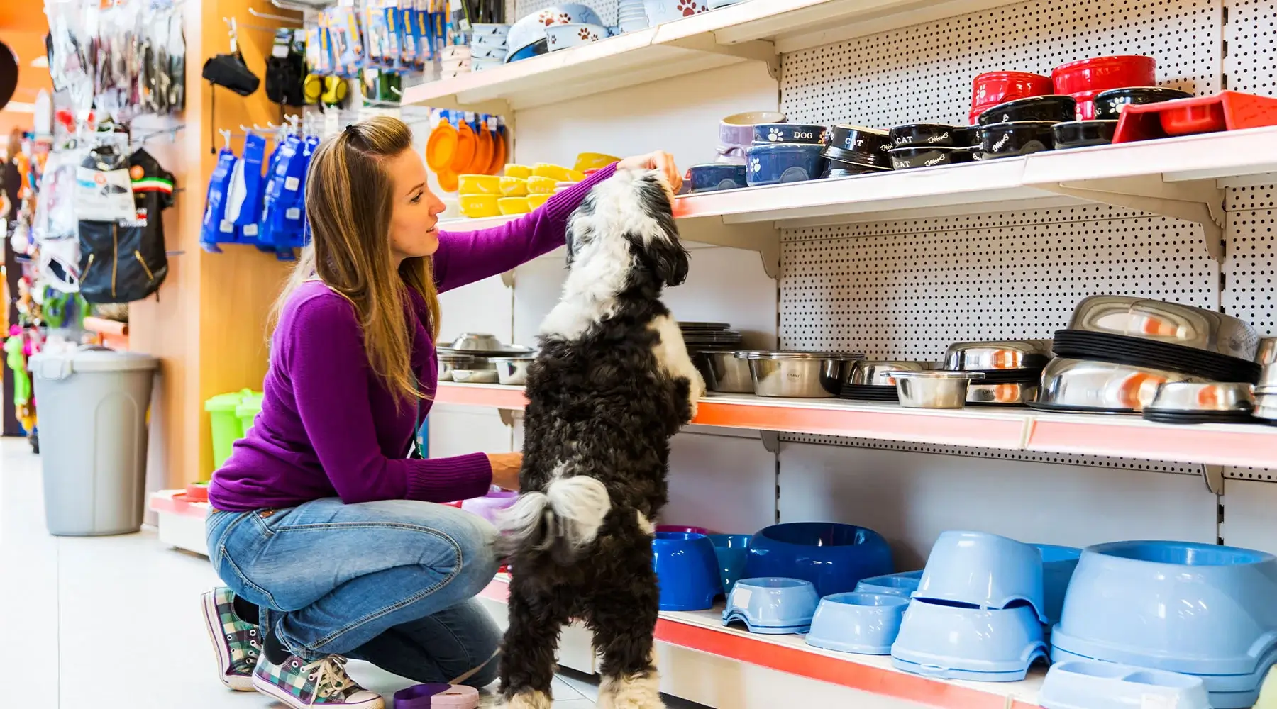 Summer Fostering Thumb2