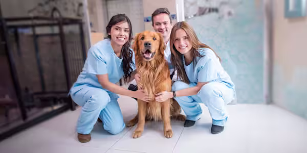 Connecting with your pet’s healthcare team