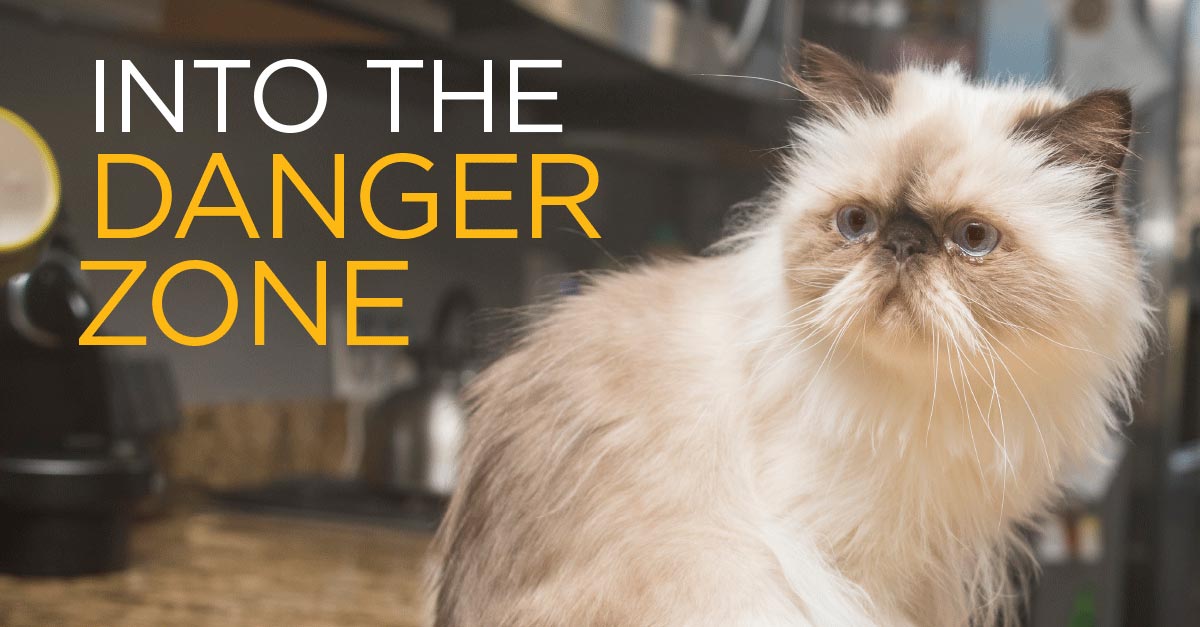 Real-Life April 2020