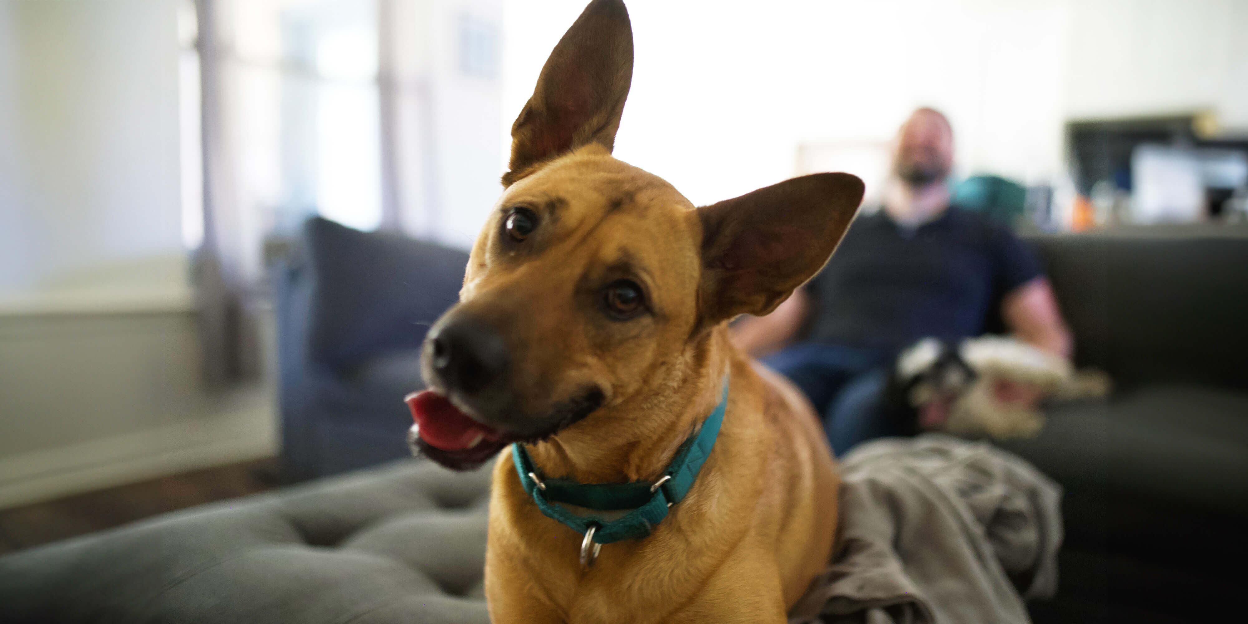 Climbing the ladder of success with Molly from Corporate