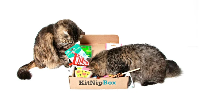 KipNipBox-jpg