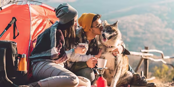 Camping with your pets
