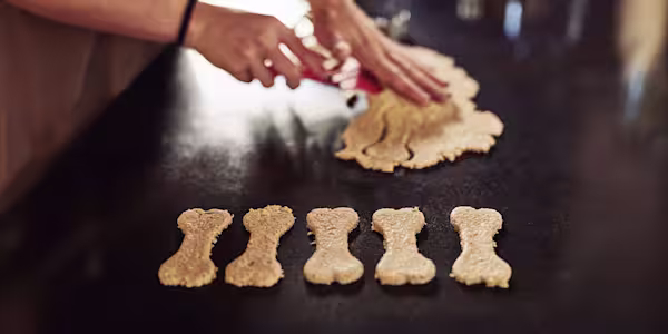 Our favorite DIY Halloween dog biscuits