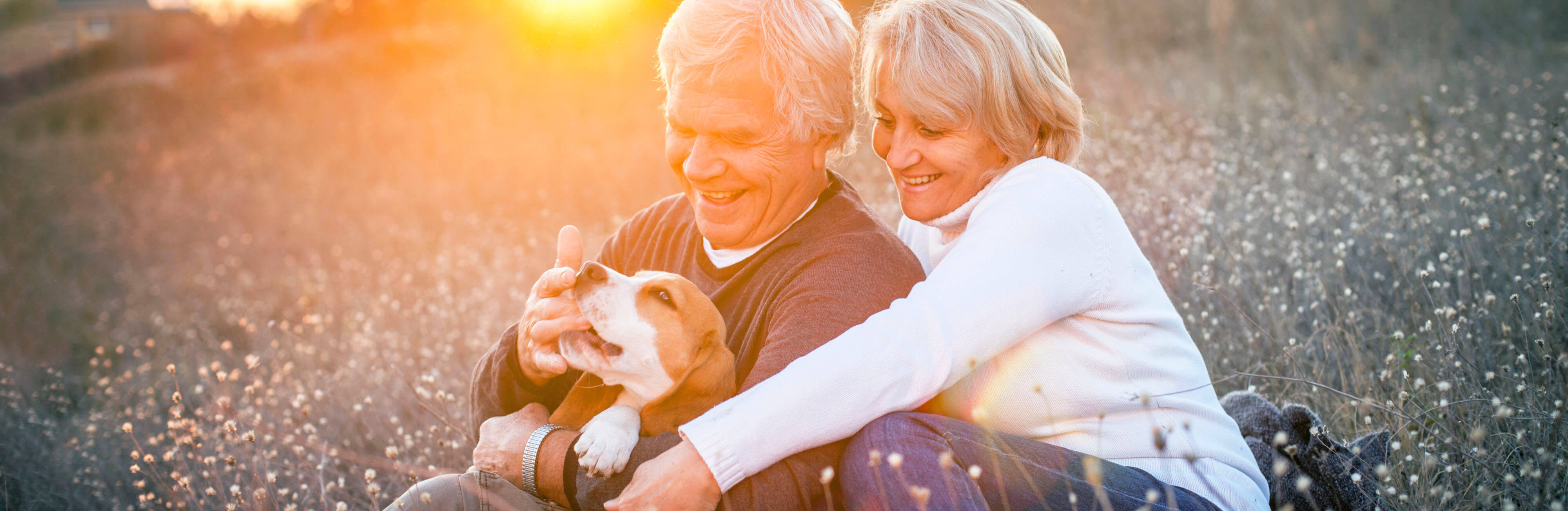 Building up resilience with the help of your pets