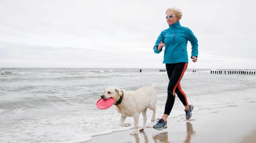 Best Dog Breeds for Runners