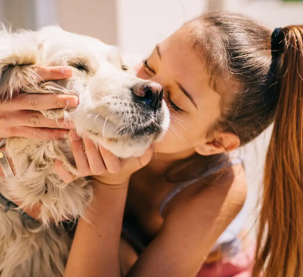 Dog snuggling with pet parent