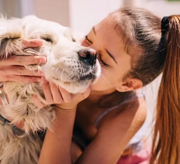 Dog snuggling with pet parent