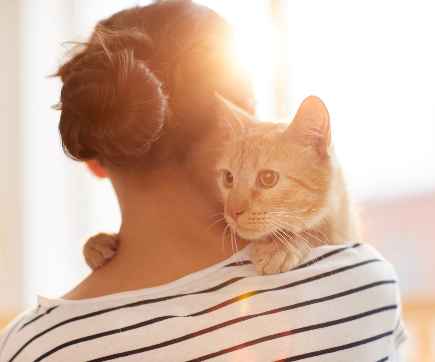 Preventative coverage - Cat on pet parents shoulder