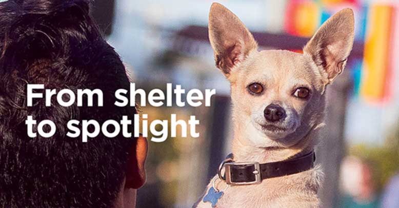 Real Life April 2019