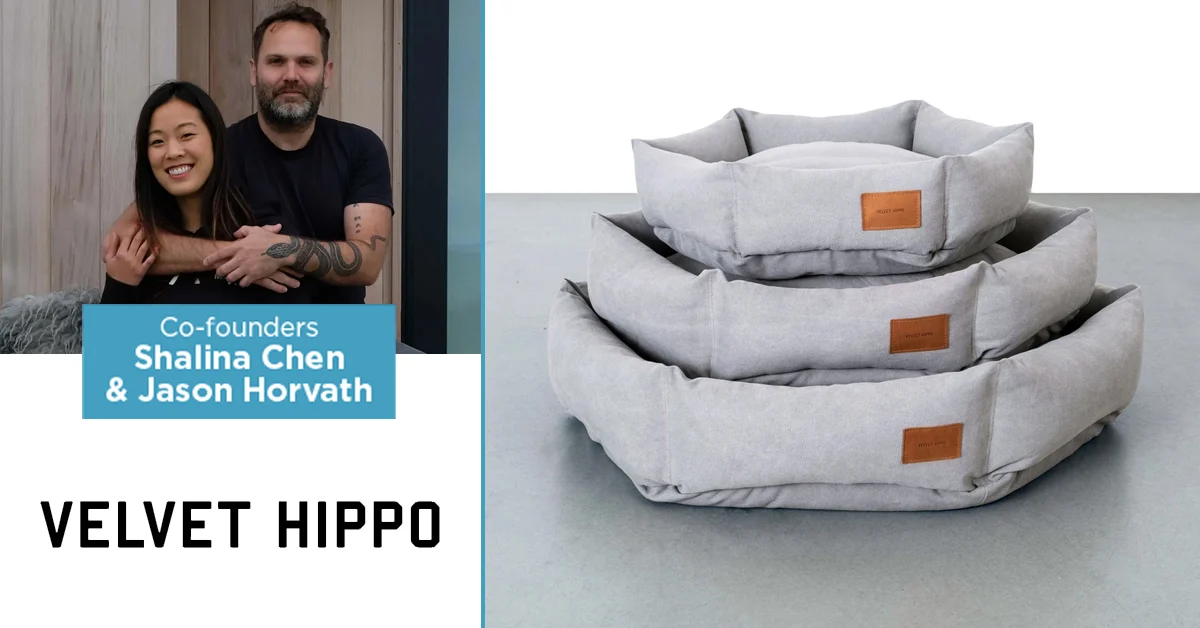 Business Feature - Velvet Hippo