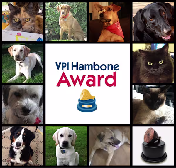 VPI-Hambone-Award-Nominees-square-tile-large1