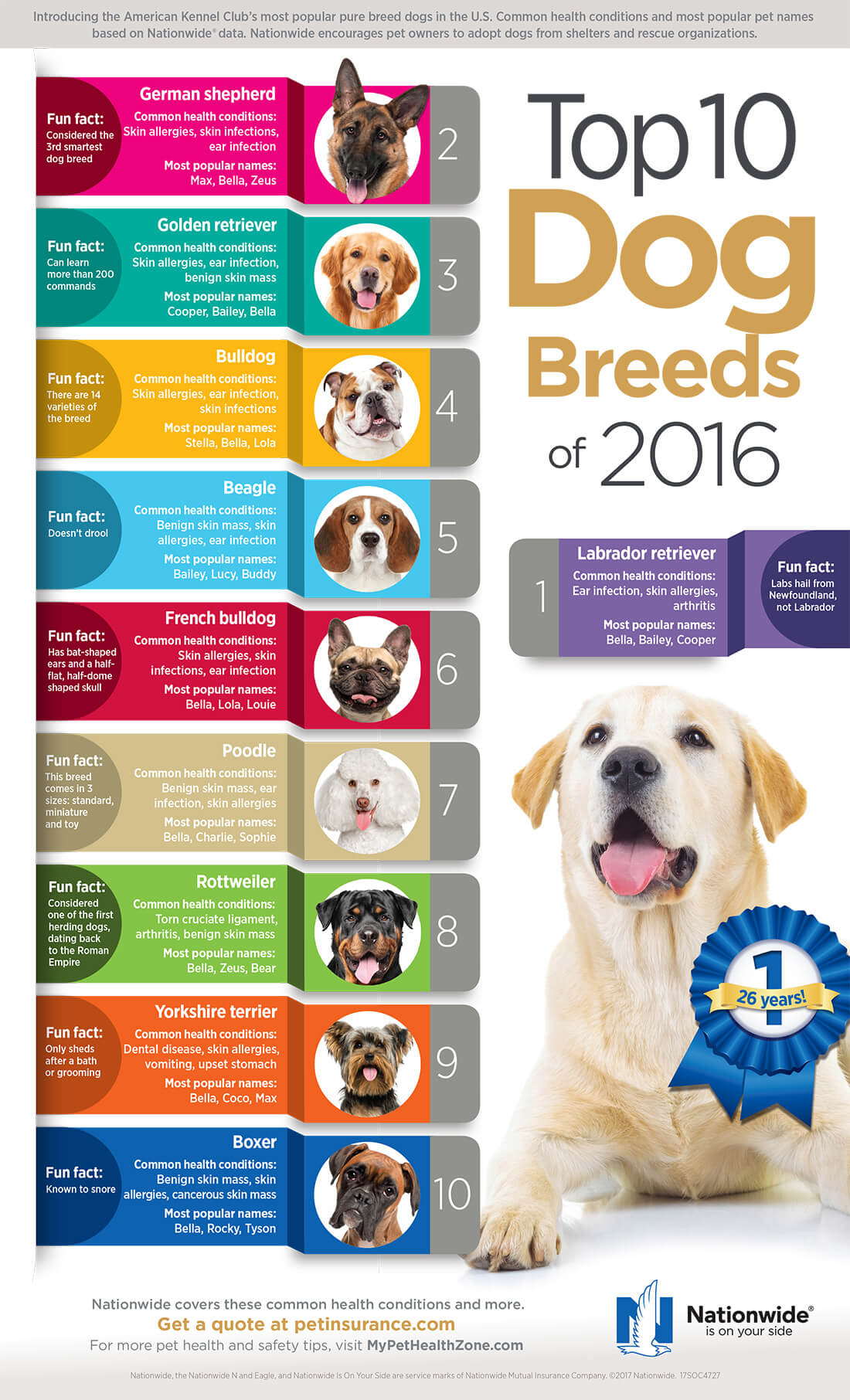 Top 10 Dog Breeds 2016 Infographic Update FINAL2