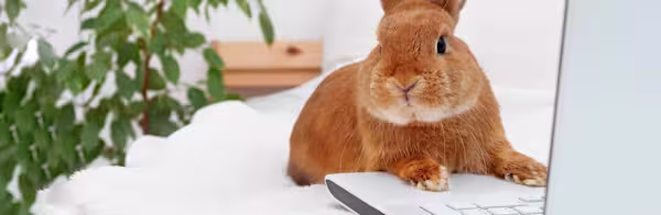 Unexpected pet questions