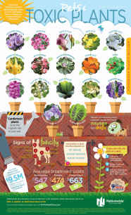 Which Plants Are Poisonous To Dogs