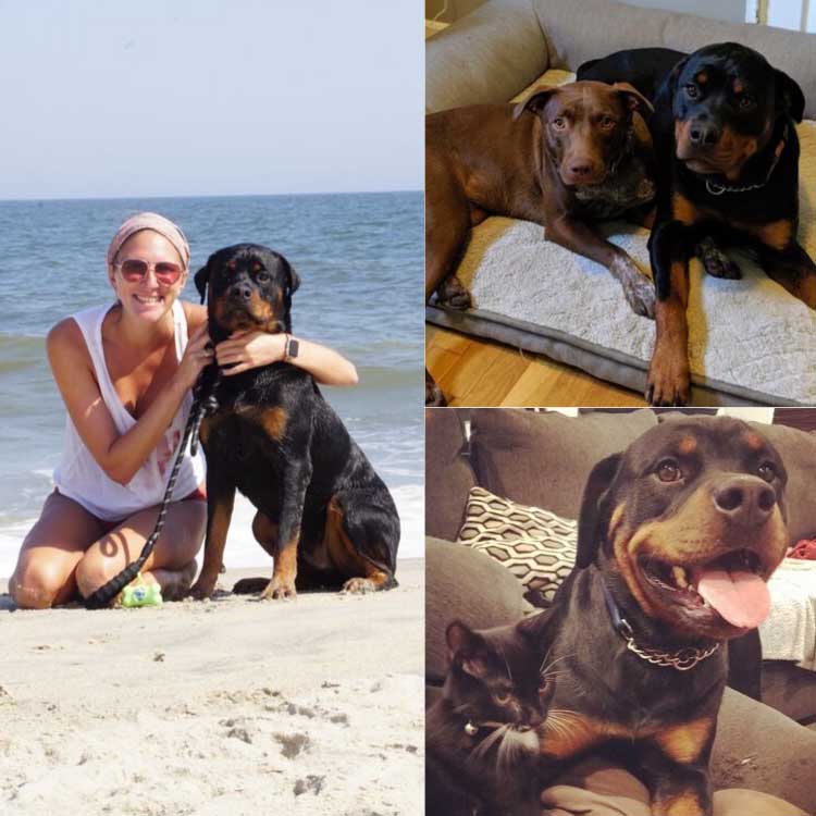 Frank-Photo-Collage-2