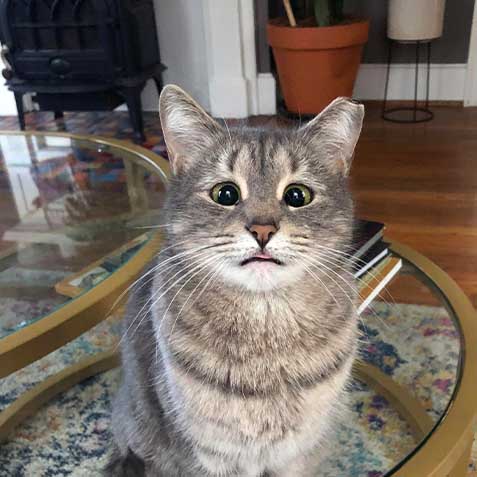 2023-WPN-green-bean-catserole