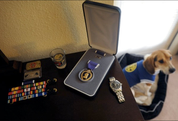 P2V-Dog-and-Honors_HN